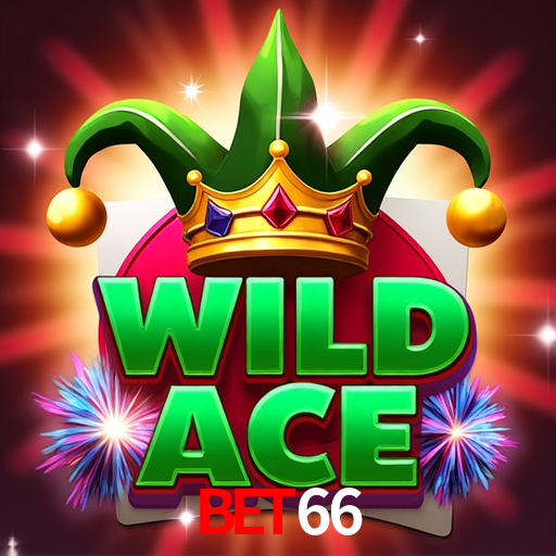 Experiência VIP Bet66